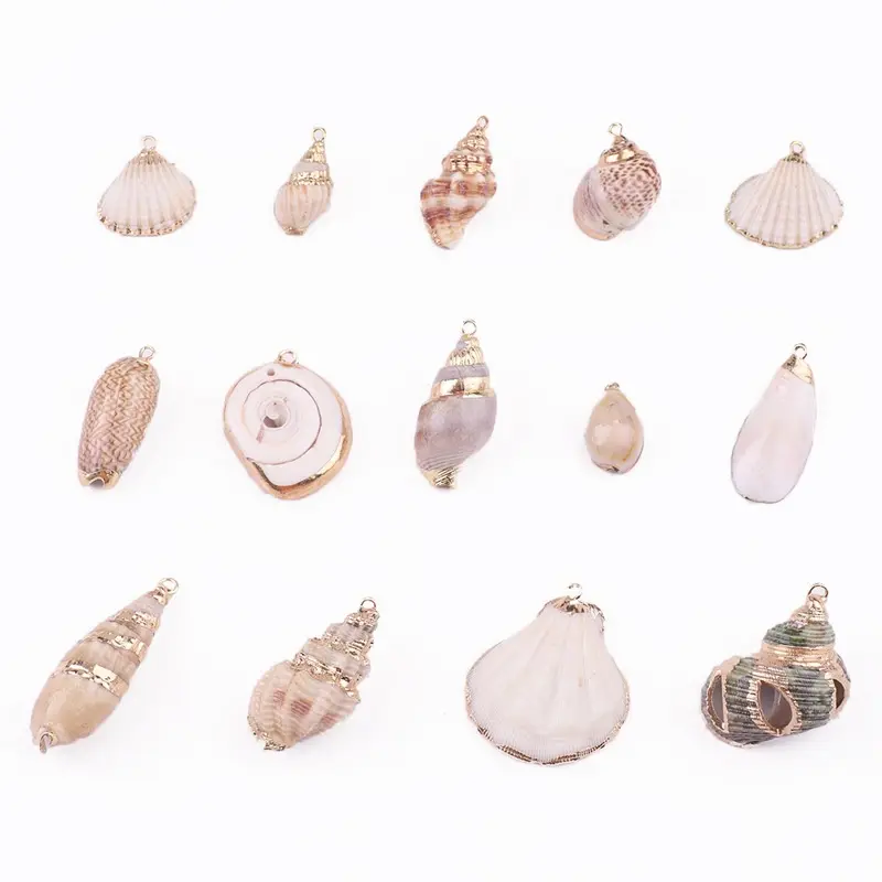 Hobbyworker 10pcs Natural Scallop Clam Sea Shell Charms Pendants For DIY Beach Summer Jewelry Necklace Earrings Making P0470