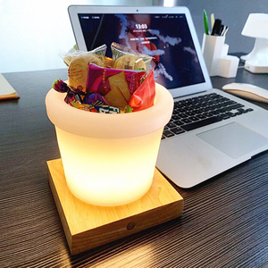 Pot de fleurs pour l'extérieur, lampe décorative <span class=keywords><strong>LED</strong></span> pour jardin, cour, salon, balcon - Product Image 2