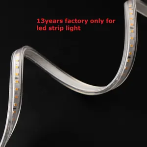 Flex LED Neon Light Strip 110V 220V Flexible Neon Sign Rope+Dimmer 2835 Waterproof LED Tape Tube for Home Decoration EU US Set