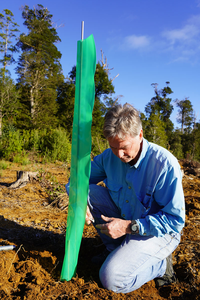 Rotoli <span class=keywords><strong>di</strong></span> Protezione per Piante in Polietilene, Impermeabili, Resistenti, Misure Personalizzabili, Protezioni per Alberi e Piantine - Product Image 2