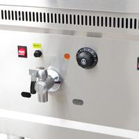 Friteuse à Gaz Professionnelle BaoKang QZL-72A à Double Réservoir pour Restaurant, Modèle Comptoir, Ventes Chaudes 2025