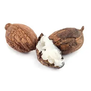 Необработанные орехи ши для продажи по всему миру, недорогие орехи Ши, высококачественные скорлупы пальмовых ядер, высококачественные орехи лучшего класса для Западной Африки
