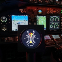 Simulateur d'avion Aurora R44 R22 - Vol simulé