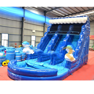 Glissière d'eau gonflable à Double voie de requin toboggan sautant Combo videur PVC irisé Utilisation commerciale et résidentielle - Product Image 3