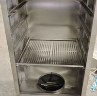 Fumoir Électrique Professionnel Chaud et Froid pour Poisson et Viande – Équipement de Fumage