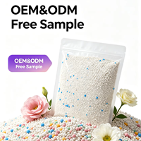 Litière biodégradable à base d'amidon de manioc 2,5 kg, sans poussière, agglomération instantanée, super absorption, désodorisante, écologique, anti-adhésive, OEM ODM