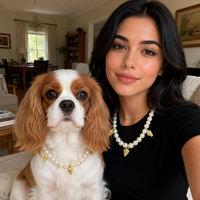 Nouveau collier pour animaux de compagnie élégant, solide, noble, en perles de cuivre plaqué or K, imperméable, réglable et confortable