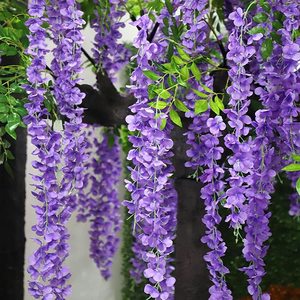 <span class=keywords><strong>Glicine</strong></span> artificiali fiori appesi ghirlanda <span class=keywords><strong>glicine</strong></span> artificiale viti da fiore lunghe in seta con semi-trasparente <span class=keywords><strong>bianco</strong></span> per matrimonio - Product Image 6