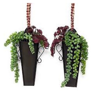 Plantador de la pared colgante cono de Metal suculentas - Product Image 1