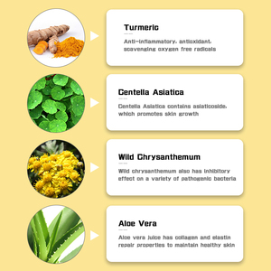 Logo disesuaikan grosir kulit kunyit bernutrisi menenangkan pelembab bintik hitam penghilang Jerawat Toner wajah semprot - Product Image 2