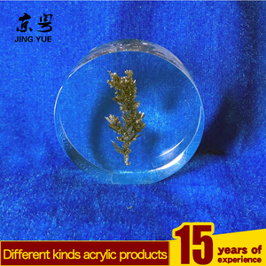 Presse-papiers acrylique personnalisé moderne, écologique et recyclable pour insectes avec de vrais spécimens d'insectes artisanaux pour l'enseignement et les cadeaux - Product Image 5