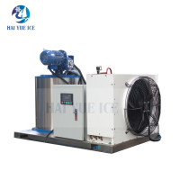 Nouvelle technologie Haiyue, machine à glace en flocons de 0,3 tonne, 0,5 tonne, 1 tonne, 2 tonnes, machine à glace en flocons commerciale, machine à glace en flocons industrielle