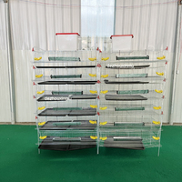 Cages d'élevage de cailles automatiques prix d'usine Offres Spéciales nouvel état