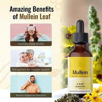 Nettoyage des poumons à base de plantes Détox des poumons Teinture de feuilles de molène Gouttes d'extrait liquide de feuilles de molène
