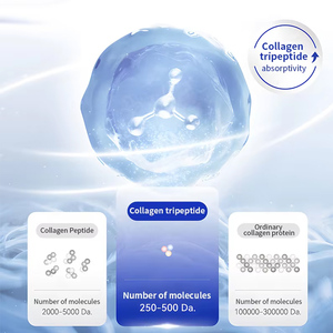 Suplemento de Belleza de Colágeno Hidrolizado Todo en Uno de Marca Privada, Vitamina C en Polvo para Blanquear la Piel y el Crecimiento del Cabello, Uso en Adultos, 300 g - Product Image 3