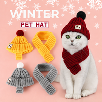 Bonnet tricoté pour animaux de compagnie avec trous pour les oreilles, bonnet chaud d'hiver pour petits chiens, chats, chiots, chatons, casquette thermique, vente en gros directe d'usine