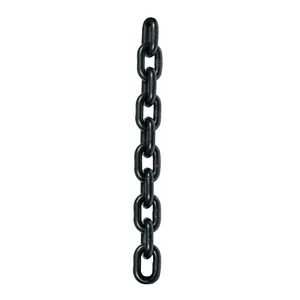 Master con 2 unità a catena per paranco POL-3P, Pretul - Product Image 1