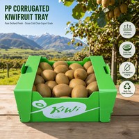 Boîte à kiwi en plastique ondulé PP, pliable, empilable, réutilisable, emballage de transport de fruits frais, bac, OEM