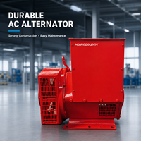 Alternateur sans balais de type Stanford 100 kVA 80 kW 400 V 50 Hz avec AVR, prix direct usine