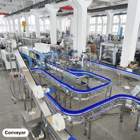Usine complète d'embouteillage d'eau pour nouvelle usine, solution clé en main 4000-6000 BPH avec formation et support technique