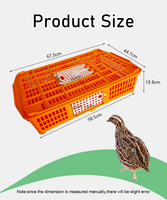 QA Caisse de Transport en Plastique pour Petite Volaille, Poulets de Chair, Pigeons, Poussins et Cailles