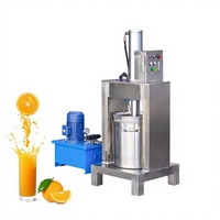 Thuis Commerciële Hydraulische Koude Pers Squeezer Machine Voor Pure R Groente Citroenvruchten Druivenwijn Kersen Automatisch