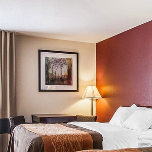 Nhiều dự án thương hiệu khách sạn trong nước và quốc tế nổi tiếng bao gồm phòng khách cao cấp, hành lang, nhà hàng, tác phẩm nghệ thuật - Product Image 2