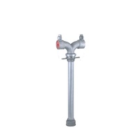 Hydrant d'incendie Okefire 2,5 pouces en aluminium argenté à double sortie, type britannique, avec tuyau de raccordement à double tête