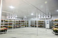 Chambre froide de congélation rapide 3x3x3m pour conteneurs 20 pieds et 40 pieds, capacité 15 unités, pour stockage industriel