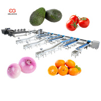 Geautomatiseerde avocado-gewichtsorteerder, -sorteer- en verpakkingsapparatuur, sorteermachine voor avocado's