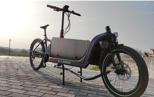 Stock en Europe, nouveau design, vélo <span class=keywords><strong>électrique</strong></span> pour adultes, vélo <span class=keywords><strong>électrique</strong></span> pour animaux de compagnie, vélo cargo longtails, vélo <span class=keywords><strong>électrique</strong></span> - Product Image 3