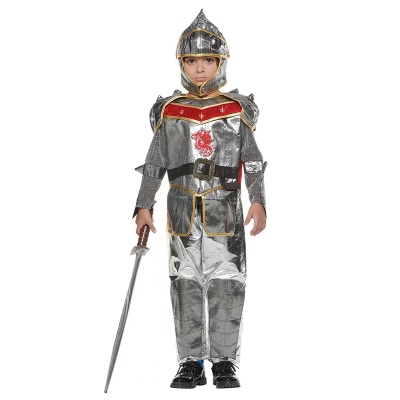 Silver Knight Costume