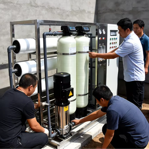 Equipo de Tratamiento de Agua Subterránea por Ósmosis Inversa Personalizado con Bomba PLC para Problemas de Agua con Alto Contenido de Fluoruro y Dureza, 500 L/Hora - Product Image 1