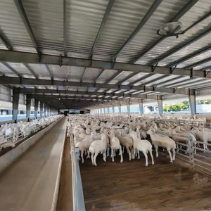 Kết Cấu Thép mạ kẽm Kết Cấu Thép prefab Kết Cấu Thép trang trại bò sữa đúc sẵn một khung thép xây dựng đúc sẵn - Product Image 6