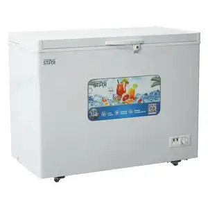 WINNING STAR BG-451 refrigerazione a porta solida AC240V 225L congelatore a porta singola con apertura superiore orizzontale a congelamento completo