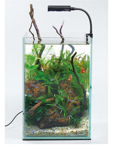 Dc 5V Betta Vis Lamp Usb Nano Rgb Levendige Clip Op Aquarium Led Licht Voor Klein Aquarium - Product Image 3