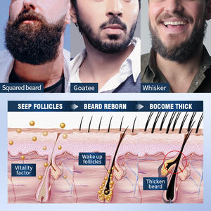 Ensemble de soins pour la barbe pour hommes - Feuille de Platycladus, <span class=keywords><strong>Forsythia</strong></span>, Racine de gingembre, Huile de graines de chanvre - Barbe hydratante et lissante 700g - Product Image 5