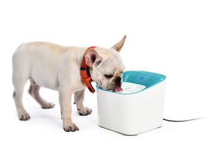 Ultra-Quiet 3L Infrared Sensor <b>Automatic</b> and Dog <b>Water</b> <b>Dispenser</b> Reusable Veterinary Instrument for Cats Dogs - Product Image 4