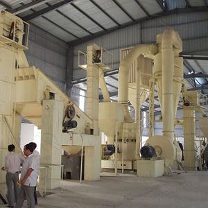 Herstellerpreis Mtw Quarz Kalkstein Baryt Gesteinsmühle 500 Mesh Pulver Raymond-Mühle zum Verkauf - Product Image 5