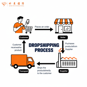 Agente de Dropshipping, Agente de Abastecimiento para Shopify y Aliexpress con Servicios Profesionales de Gestión de Pedidos - Product Image 1