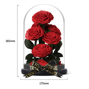 La vera <span class=keywords><strong>rosa</strong></span> con luce a LED ha conservato Rose in vetro fiore eterno cupola per la ragazza donna <span class=keywords><strong>rossa</strong></span> san valentino regalo <span class=keywords><strong>rosa</strong></span> - Product Image 5