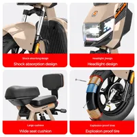 Vélo Électrique Léger Hercules Battleship avec Moteur Arrière Brushless 48V, 3 Vitesses, Batterie au Plomb, Personnalisable OEM/ODM, Usine Source Export