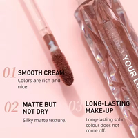 Rouge à lèvres brillant végétalien et minéral longue tenue, imperméable, avec logo personnalisé, effet nude, pour revendeurs – Meilleures ventes