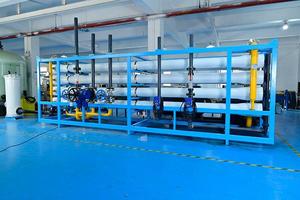 Système d'osmose inverse à eau salée en deux étapes de 500 LPH pour la production d'eau douce pour les stations balnéaires et les navires offshore - Product Image 2