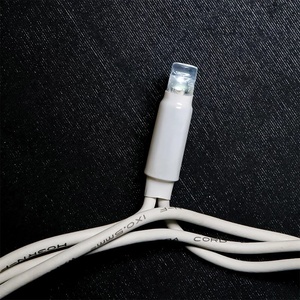 ไฟ LED สายยาวสีขาวเย็น ขนาด 5 มม. กันน้ำ IP65 สายยางสีขาว เชื่อมต่อได้ 24V 240V สำหรับตกแต่งคริสต์มาสกลางแจ้ง - Product Image 3