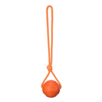 Eisenka – balle solide en caoutchouc thermoplastique pour chien, élastique, résistante aux morsures, jouet de lancer en corde pour l'extérieur, entraînement de récupération MJ119