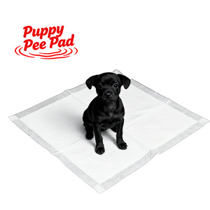 Faible MOQ, couches d'apprentissage jetables pour chiots, matériau en papier PE, SAP personnalisé, 60*60, tapis absorbants pour chiots, chat, pot, urine, fournitures d'apprentissage pour animaux de compagnie - Product Image 1