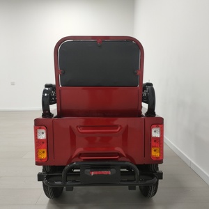 Nouveau vélo électrique à 3 roues avec une puissance de 1000 W, <span class=keywords><strong>tricycle</strong></span> électrique intelligent - Product Image 6