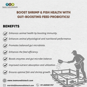 Alimentación de probióticos para acuicultura para la reducción de residuos en acuicultura de estanques - Product Image 1