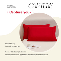 Housse de coussin enveloppante en microfibre brossée unie, douce, taille standard, pour hôtel et gîte, vente en gros